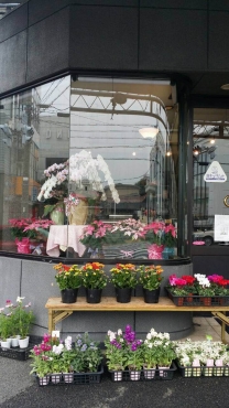 「百花園」　（愛知県名古屋市瑞穂区）の花屋店舗写真1